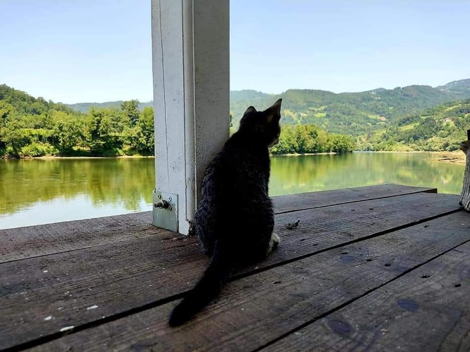 Brvnara Drina Wooden House Drina Villa Drlace Exterior photo